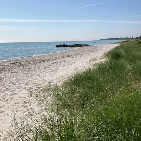 Light And Simplicity Near Saksild