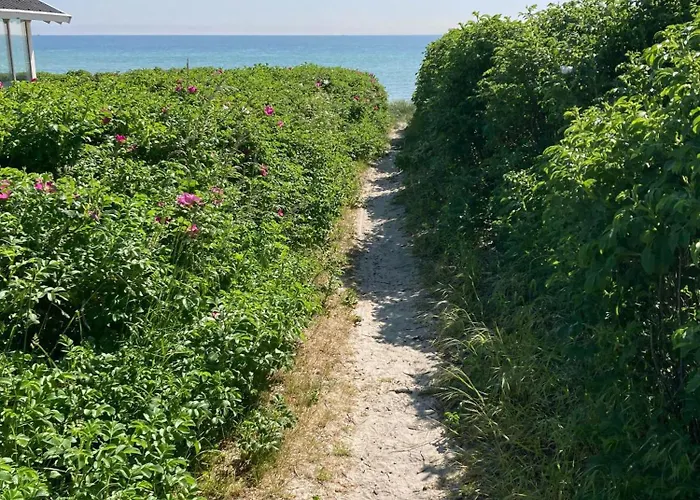 Light And Simplicity Near Saksild *